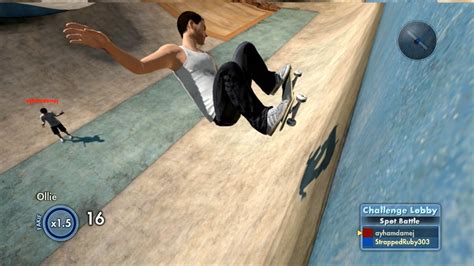 is skate 3 multiplayer, and can it teach you how to fly?